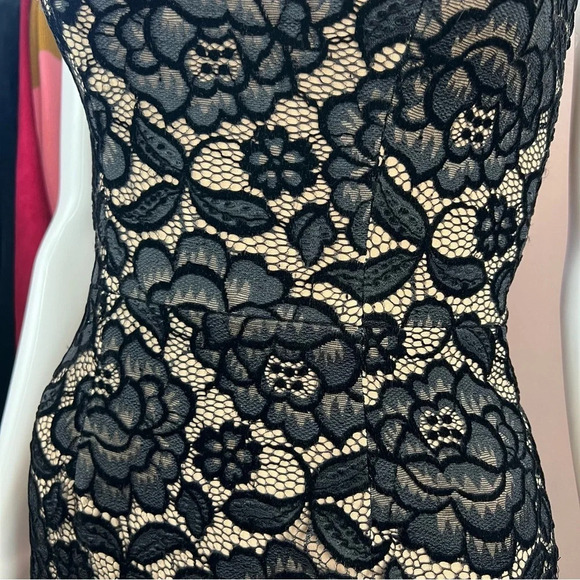 Dress The Population Nicole Velvet Lace Dress - Picture 10 of 16